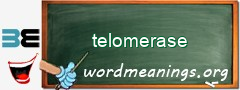 WordMeaning blackboard for telomerase